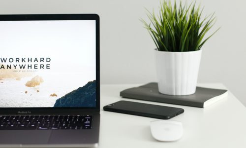 laptop on desk with plant