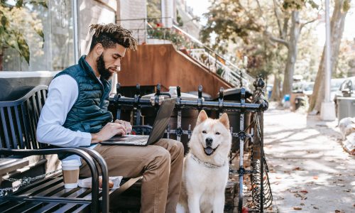 man on laptop with dog